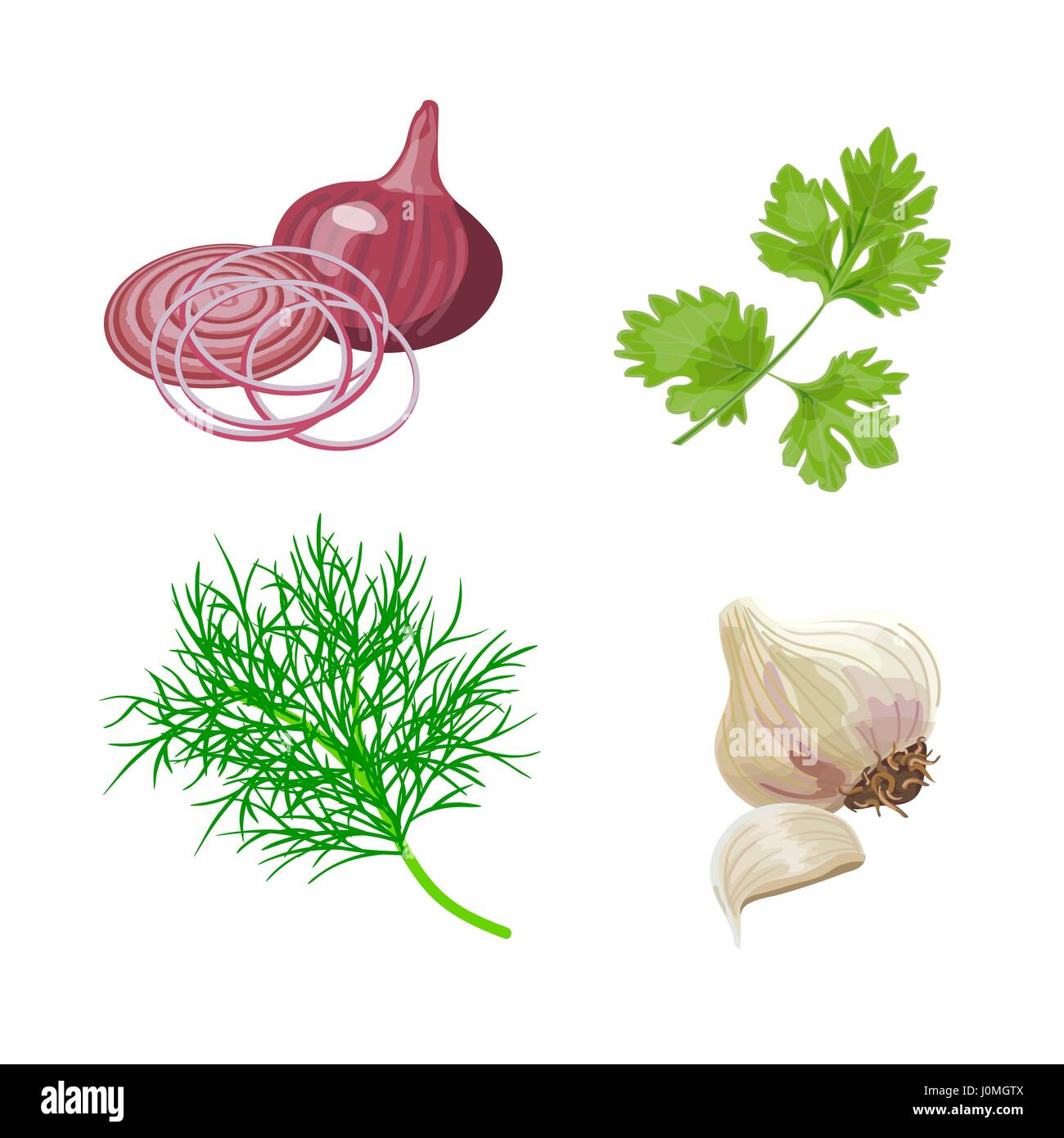 Red onion, garlic, parsley, dill. Fresh vegetables. Set collection. Vector illustration For food design labels tags posters advertising Stock Vector