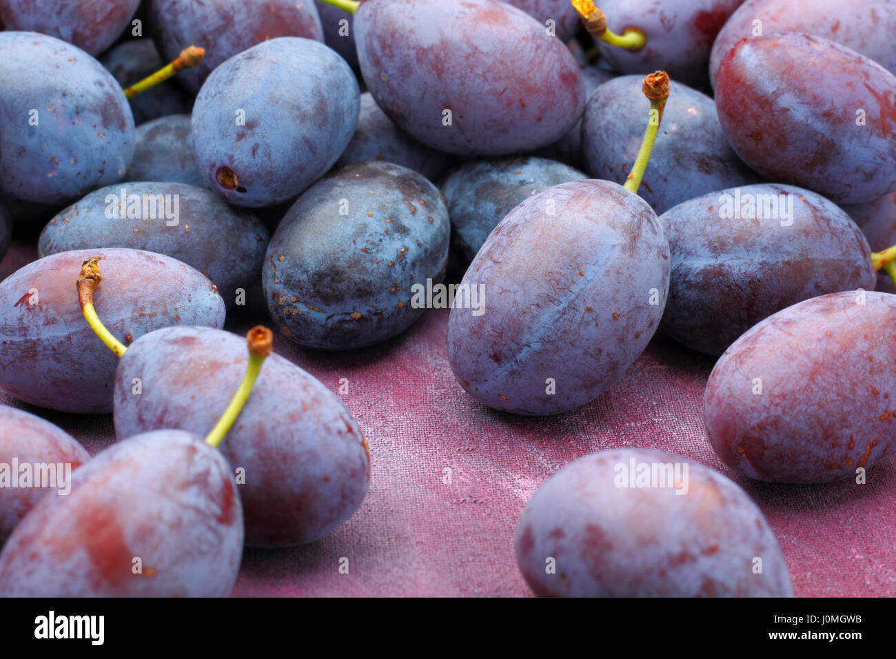 Damson plum hires stock photography and images Alamy