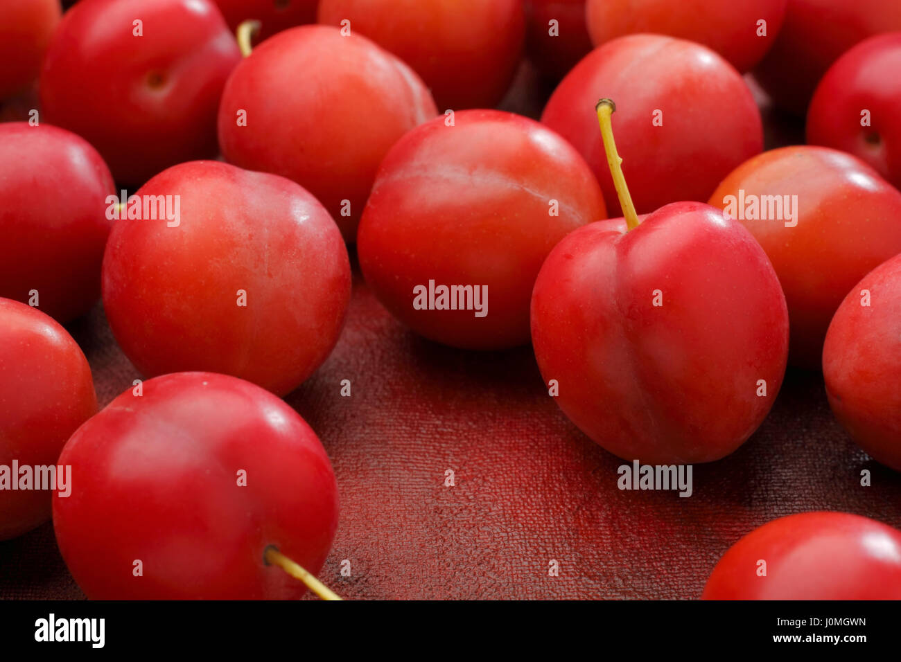 Red mirabelle plum fruits lying on painted textile background Stock Photo