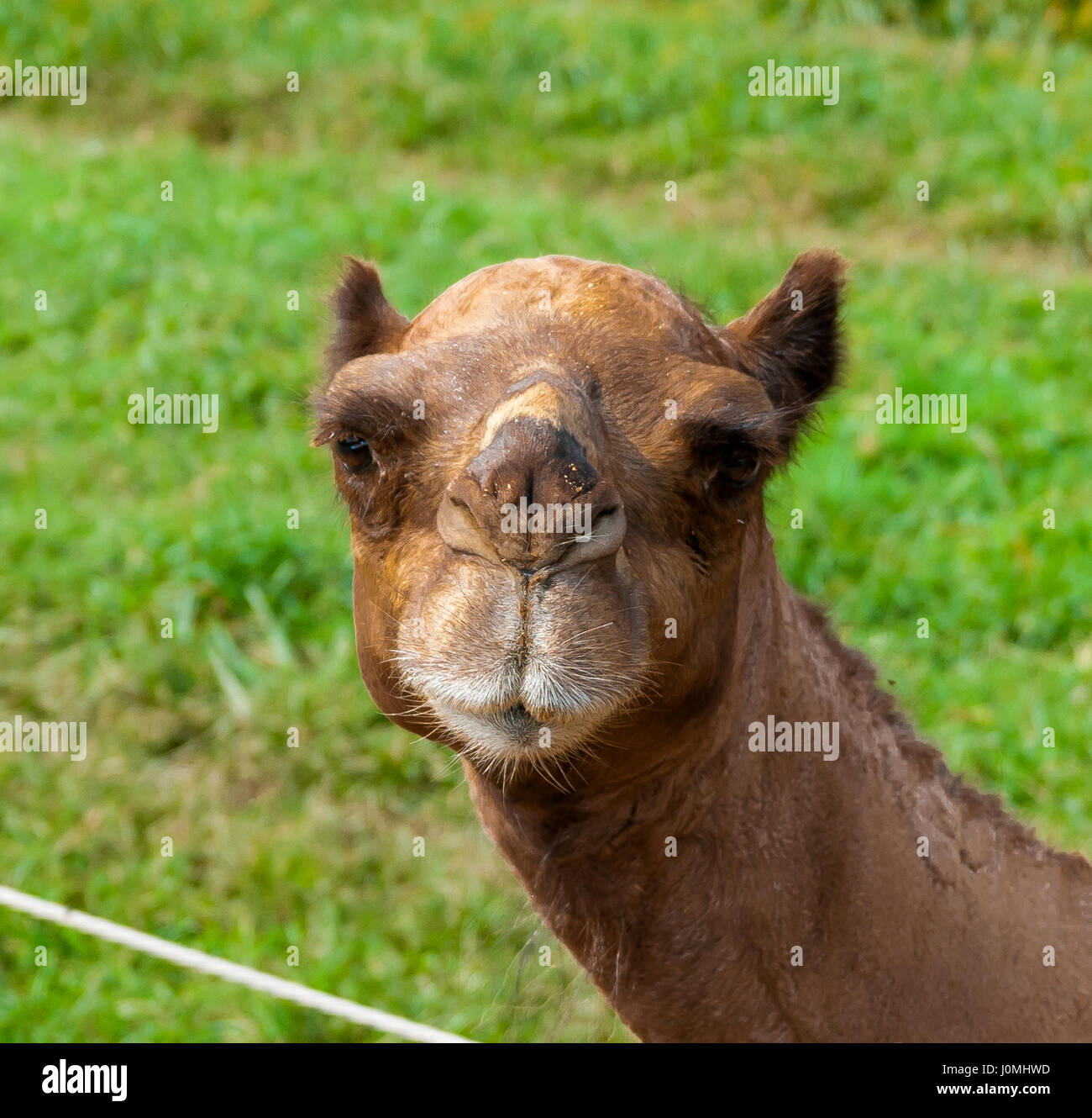 My Image 11