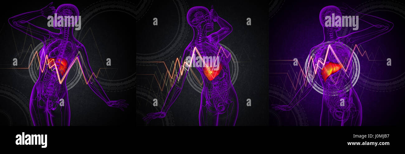 3d rendering medical illustration of the liver Stock Photo - Alamy