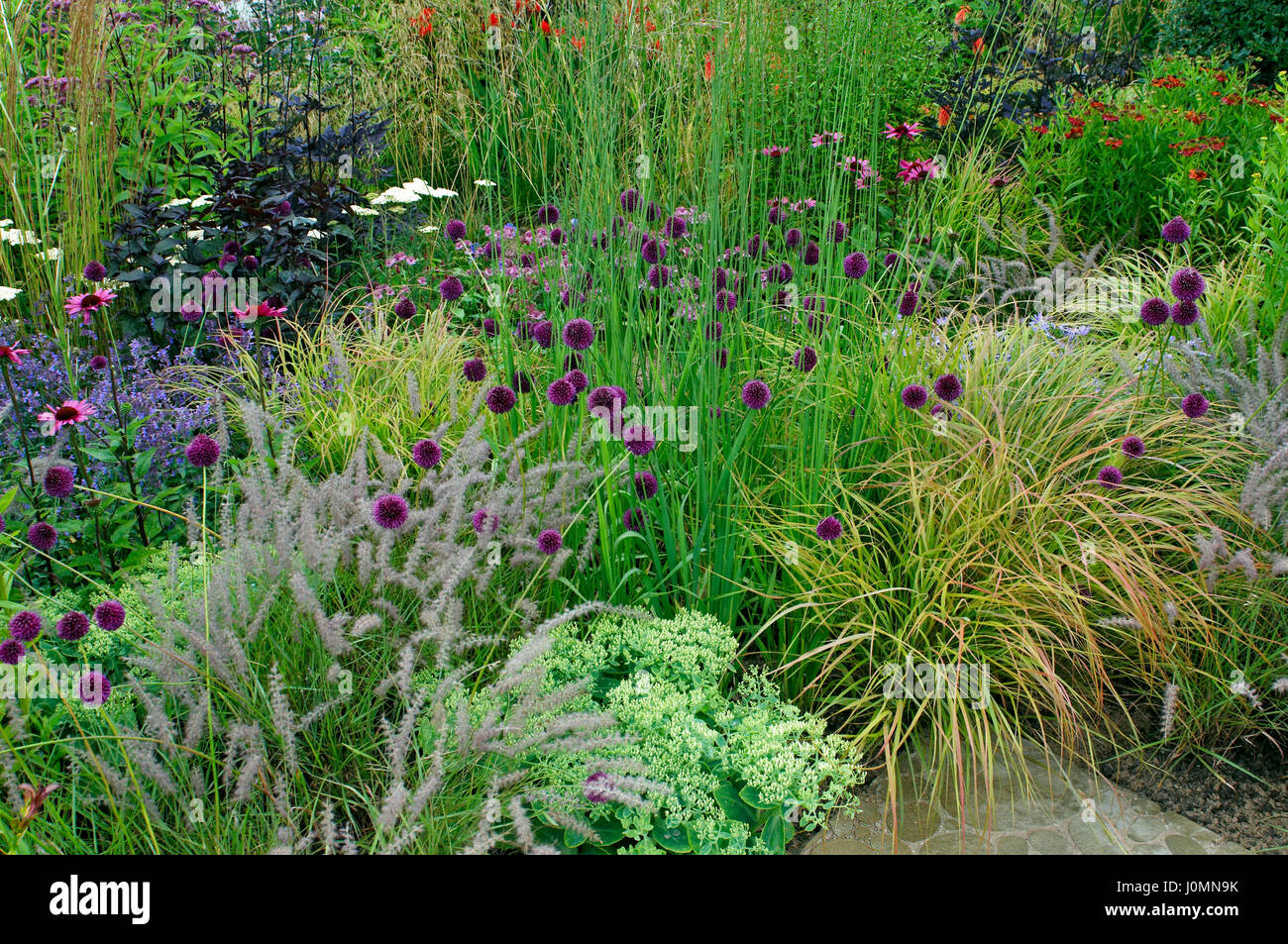 Detail of a flower border with Achillea, Allium and Grasses Stock Photo