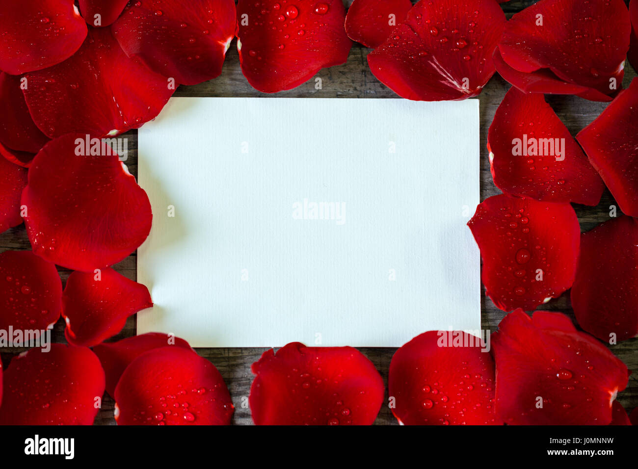red rose petals frame over empty card for your own text Stock Photo - Alamy