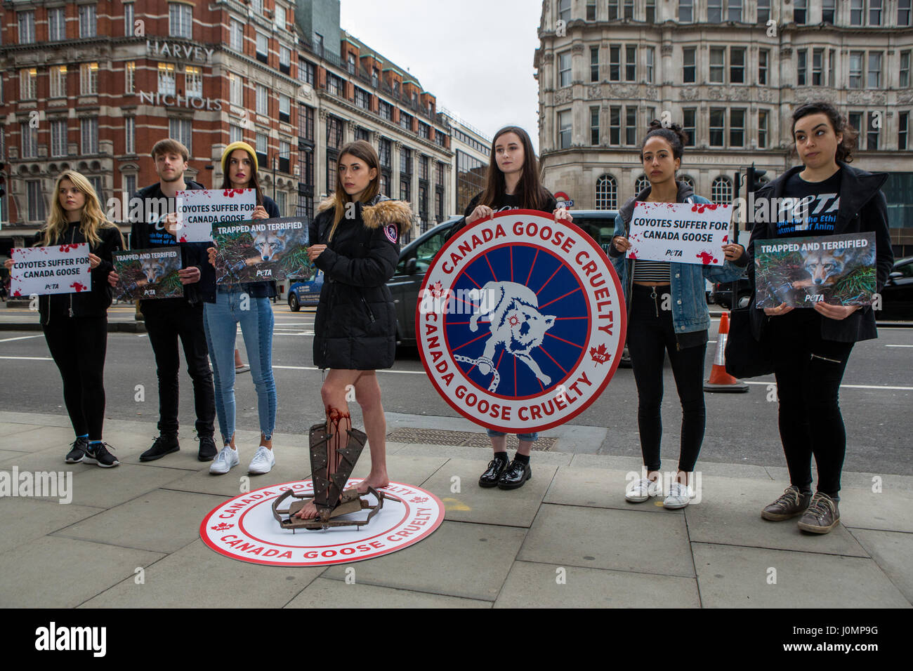 Wearing a replica Canada Goose jacket, a PETA model stands in a "bloody"  steel trap at a protest in Knightsbridge, where department stores Harvey  Nichols and Harrods sell Canada Goose outerwear. London,