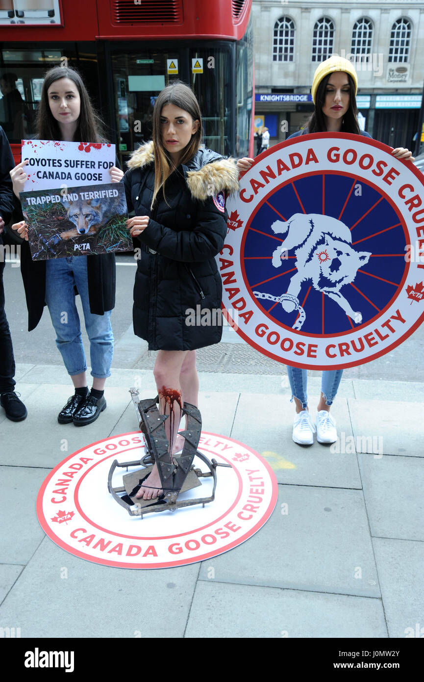 Wearing a replica Canada Goose jacket, a PETA model stands in a "bloody"  steel trap at a protest in Knightsbridge, where department stores Harvey  Nichols and Harrods sell Canada Goose outerwear Featuring: