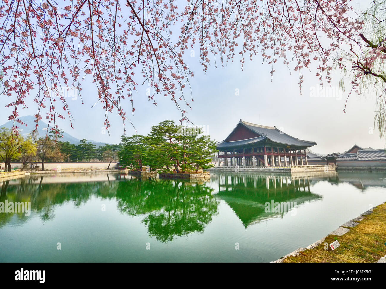 Spring in Gyeongbokgung palace in Seoul, South Korea. Stock Photo