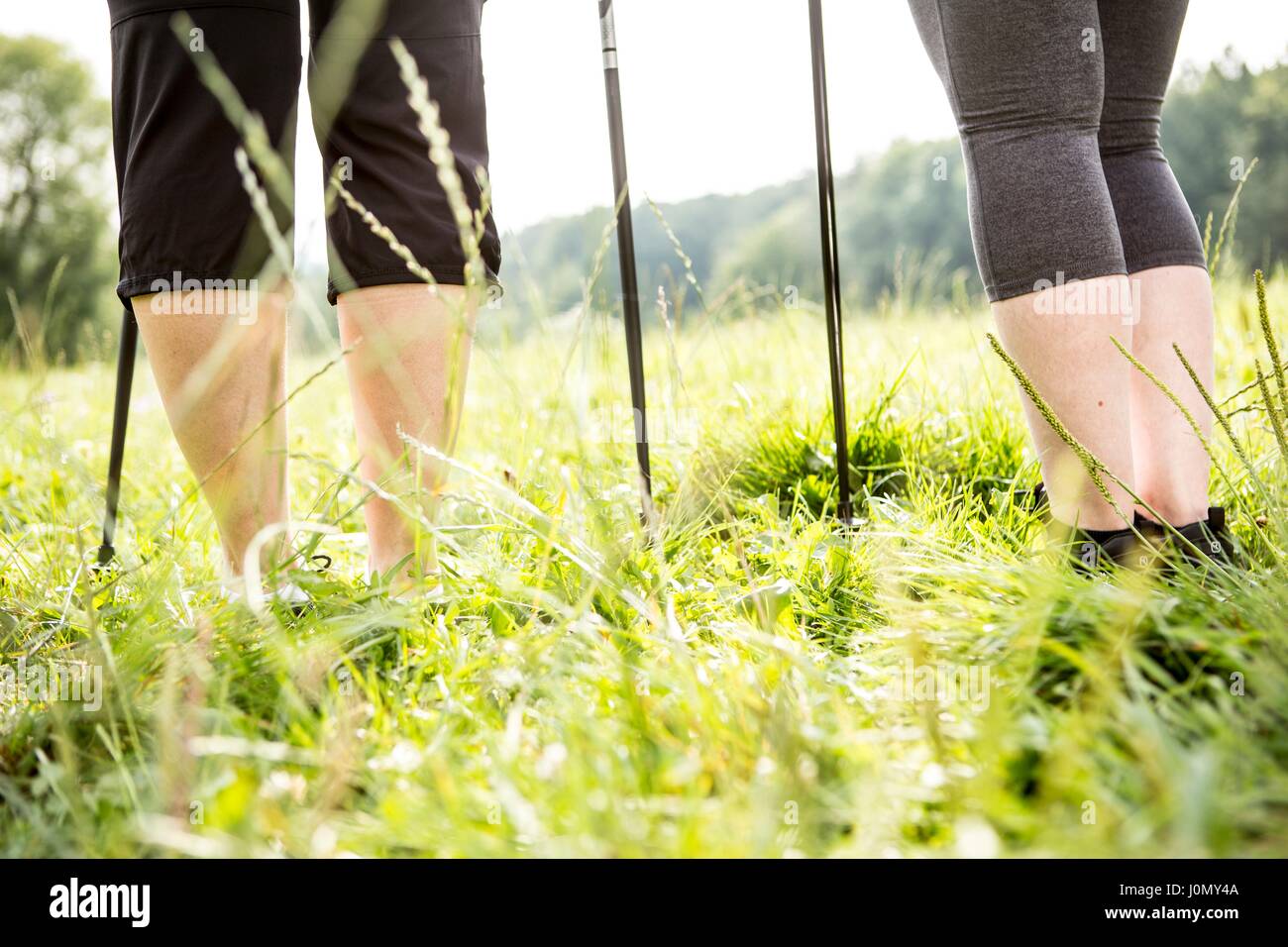 Two people with walking poles. Stock Photo