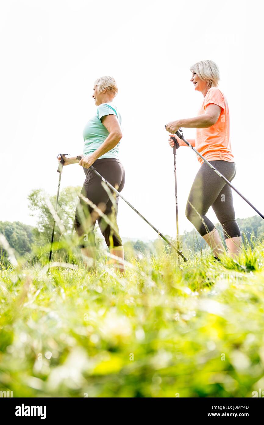 Two women walking in grass with walking poles. Stock Photo