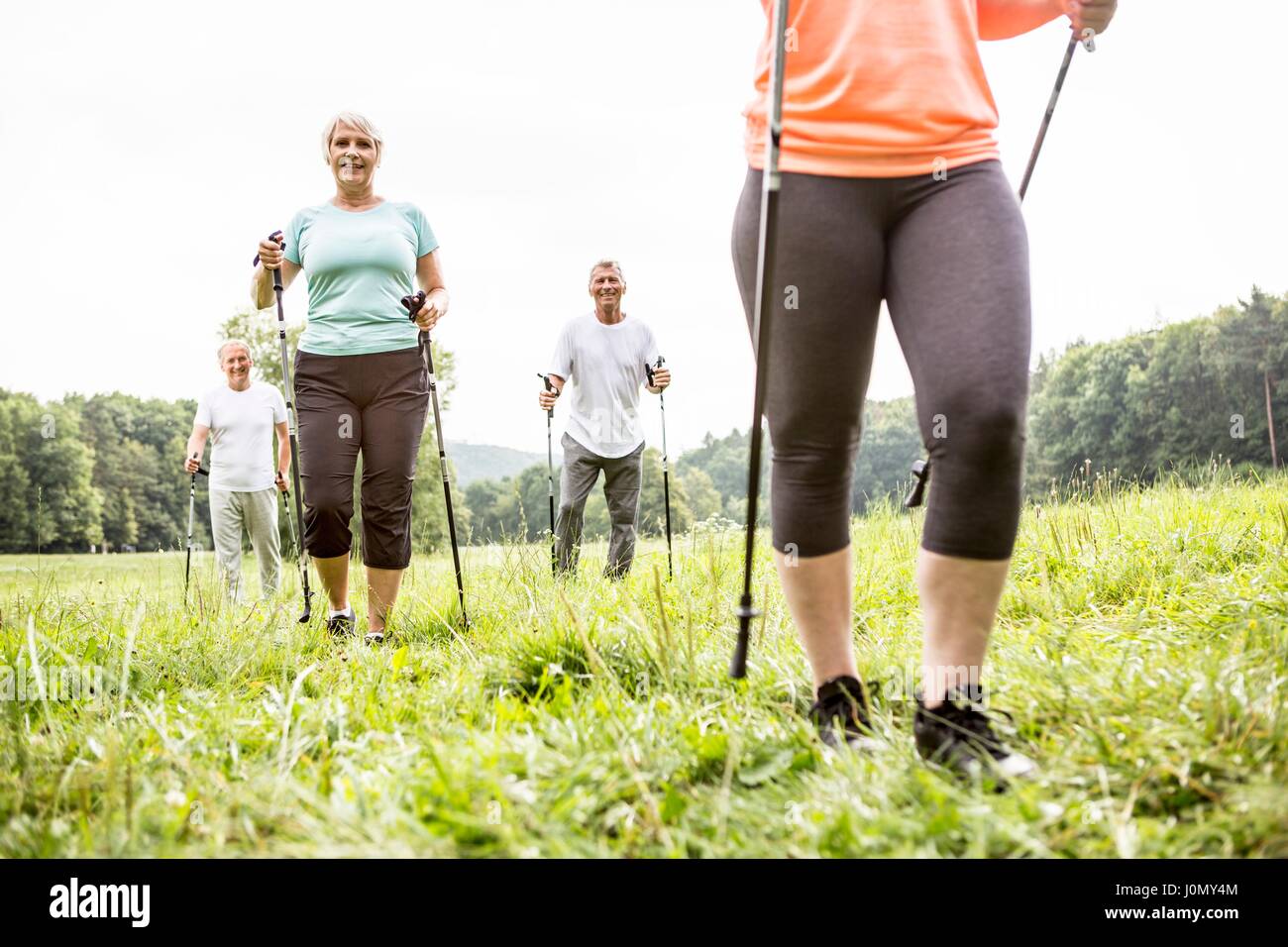 Four people walking in grass with walking poles. Stock Photo