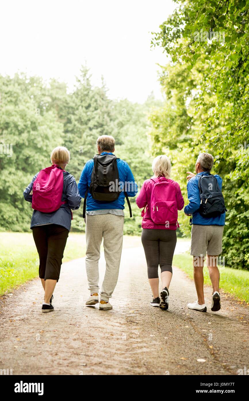 Four people on hike, rear view. Stock Photo