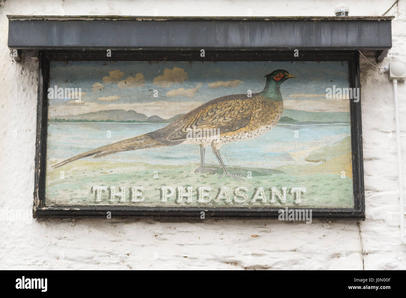 The Pheasant Inn sign, Bassenthwaite, Cumbria, Lake District, England Stock Photo