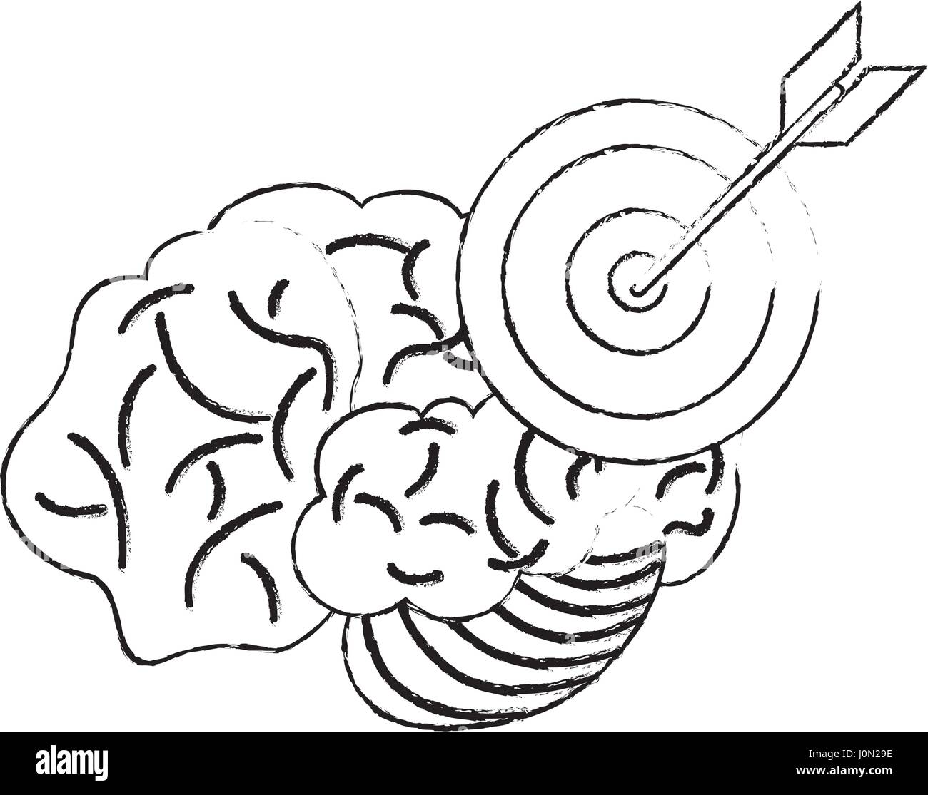 Brain function improvement Stock Vector Images - Alamy