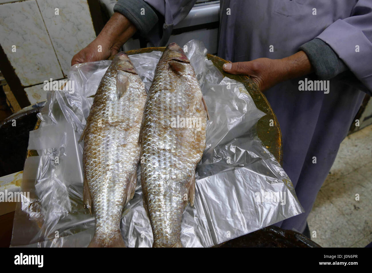 Where to buy a herring from the Caspian Where to buy a herring from the Caspian