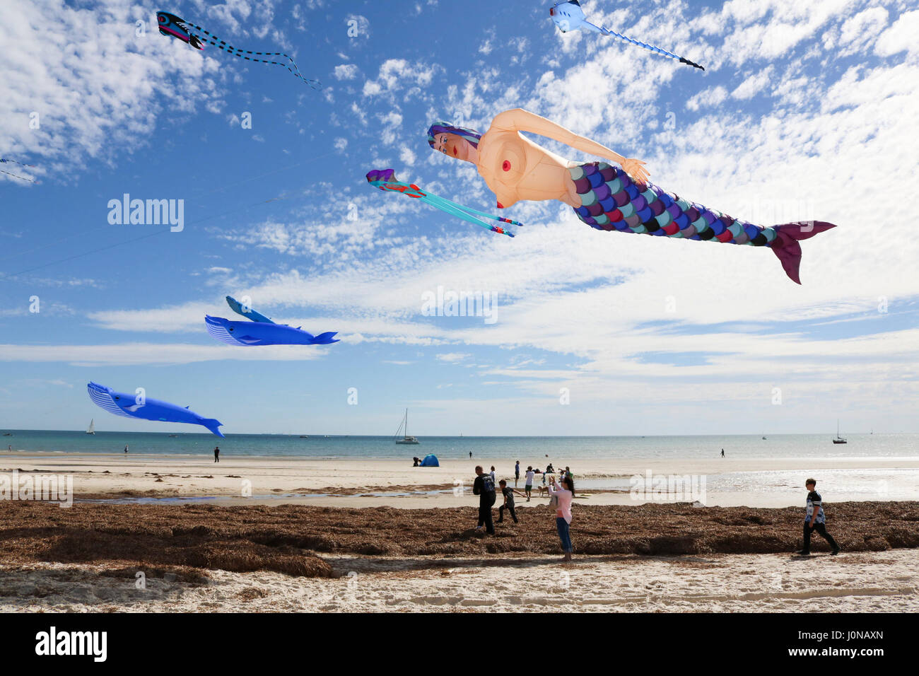 Adelaide Australia. 15th April 2017. A colorful display of kites in a