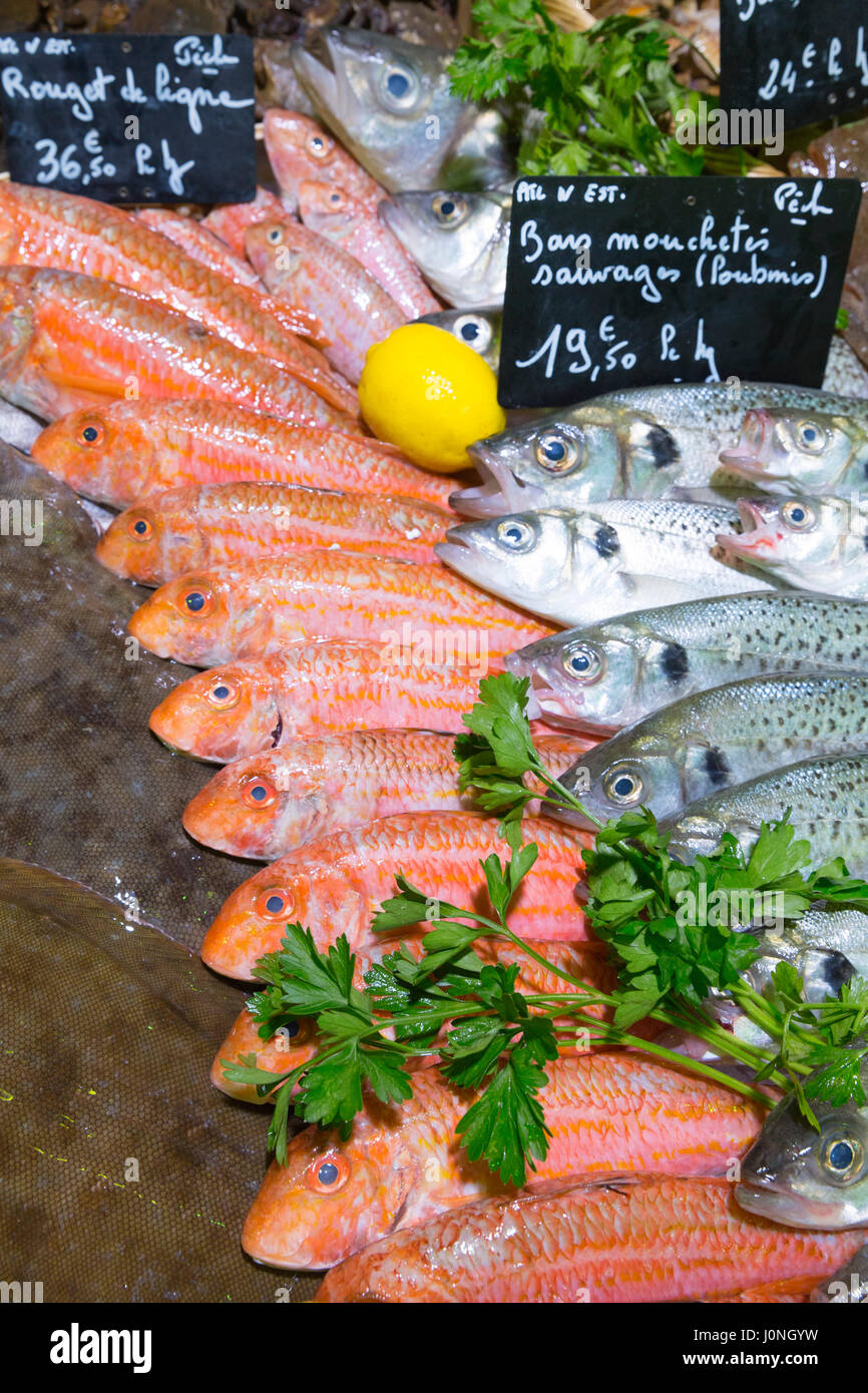 Raw fish sea bass and rouget de ligne ( Mullett) - on display for sale in food market at St Martin de Re, Ile de Re, France Stock Photo