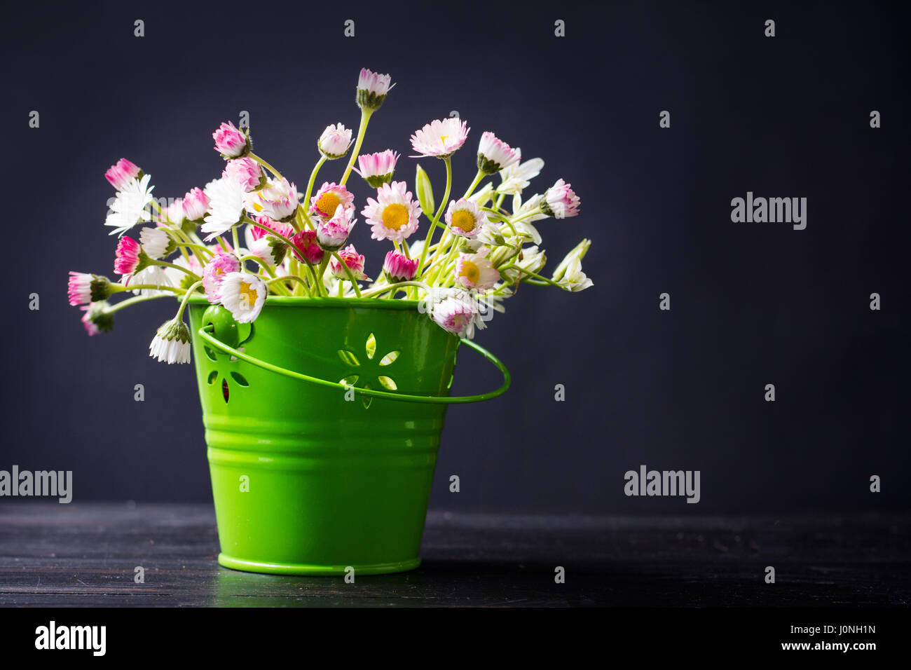 Daisy flowers in a green pot against black background Stock Photo