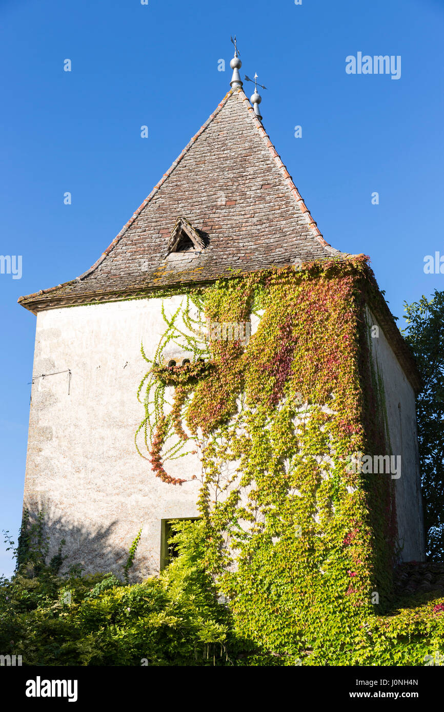 Creeper clad hires stock photography and images Alamy