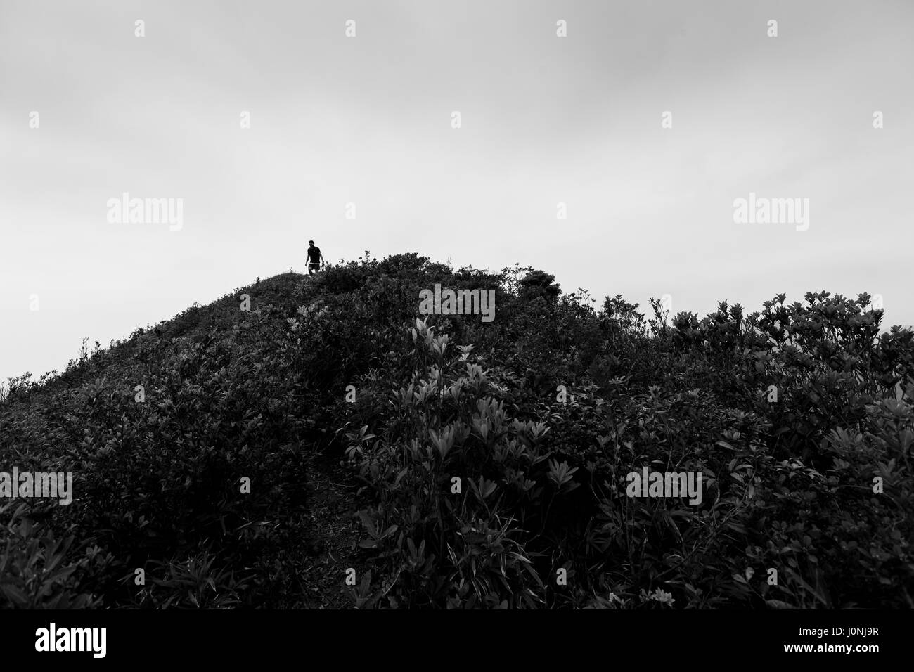 Hiking up Lantau Peak via Dogs Tooth Trail, Lantau, Hong Kong 2017 Stock Photo