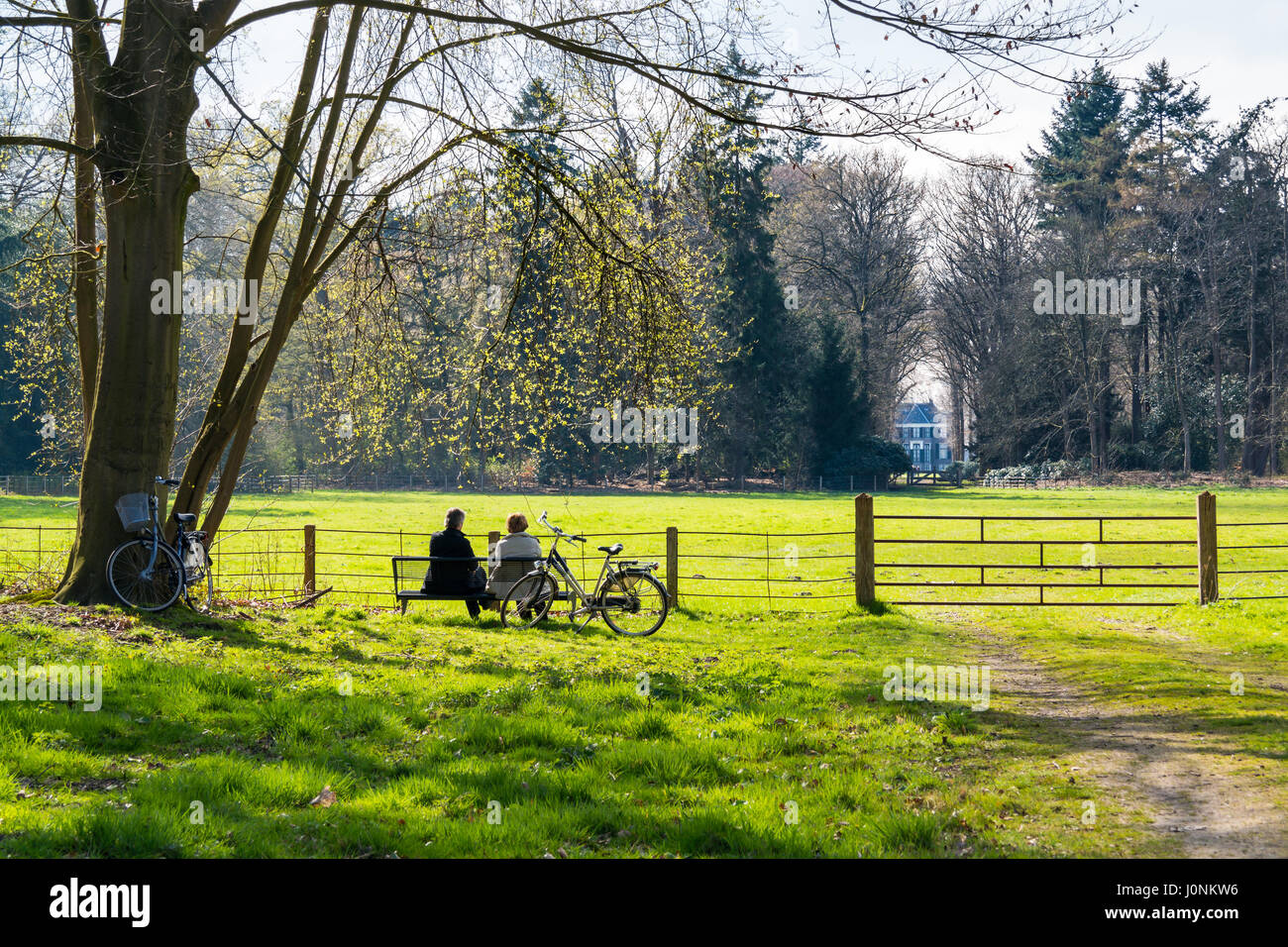 People sitting on bench after bicycle tour, looking over meadow in spring, Boekesteyn country estate, 's Graveland, North-Holland, Netherlands Stock Photo