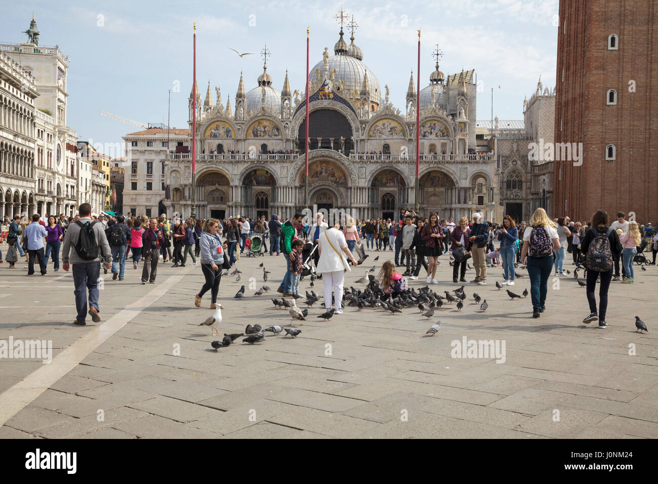 tourists in St Marks Square, Venice, Veneto, Italy Stock Photo