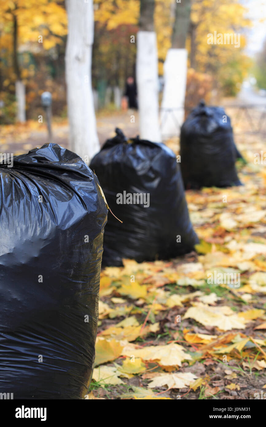Two black garbage bags full of leaves near the tree Stock Photo - Alamy