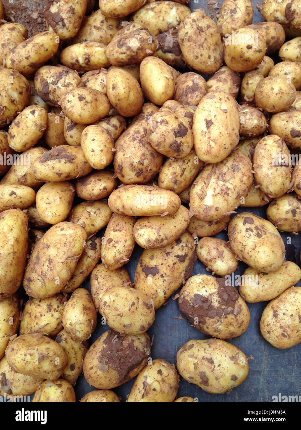 organic potatoes at farmers market Stock Photo