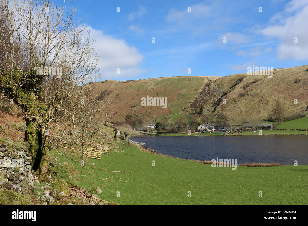 View of Watendlath Tarn in the English Lake District, Cumbria, England from the footpath to Dock Tarn, At left is a pollarded tree. Stock Photo