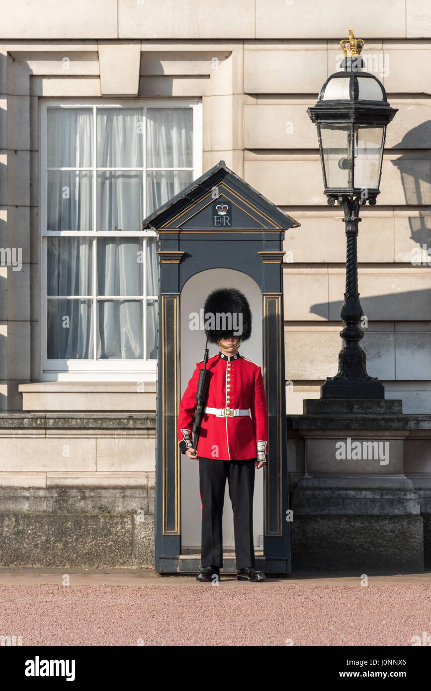Queen's Guard, Buckingham Palace, London Stock Photo