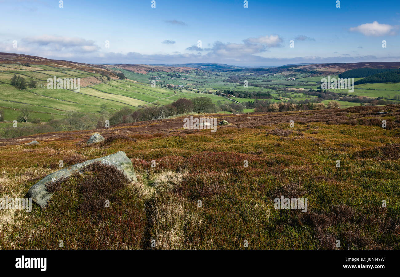 Glaisdale, Yorkshire, UK. The North York Moors national park overlooking the rolling landscape and farmland and fields on a fine spring morning near G Stock Photo