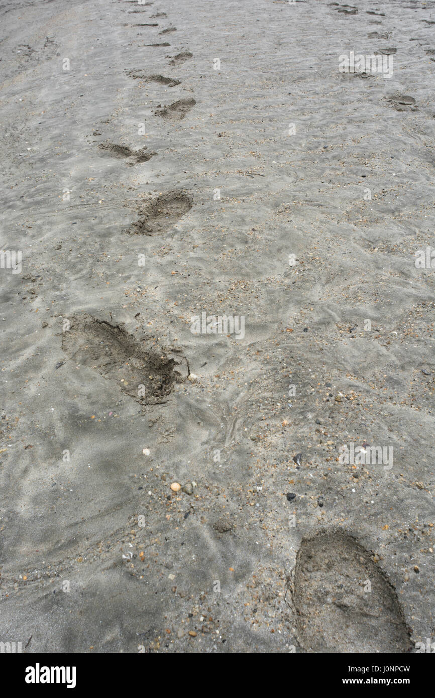 Human footprints in sandy beach (Par, Cornwall). Possible metaphor for leaving your mark or even carbon footprint, tracker fund, trail of evidence. Stock Photo