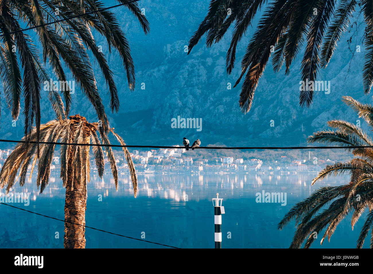 City Dobrota in the Bay of Kotor, Montenegro. Stock Photo