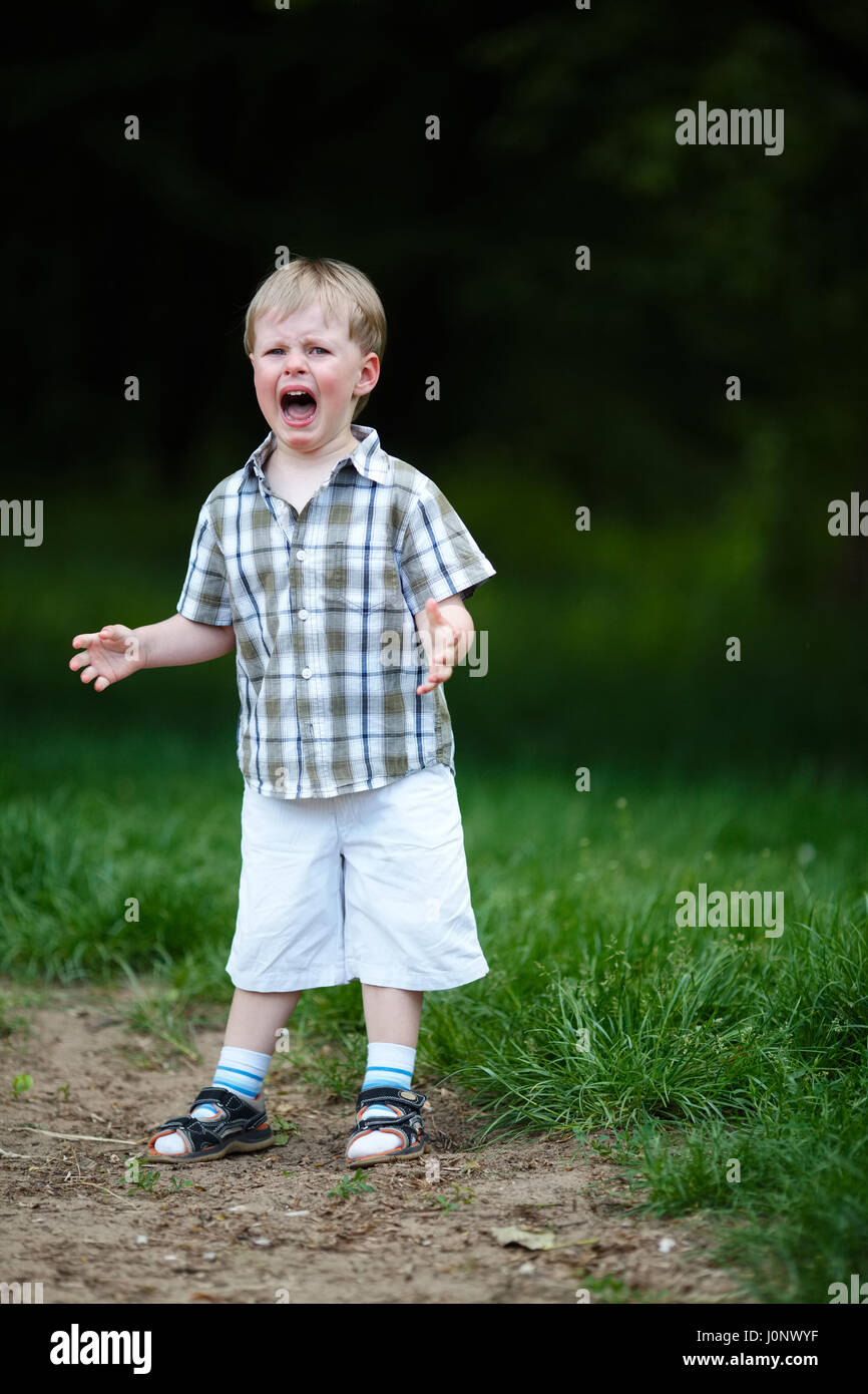 young crying boy in summer park Stock Photo