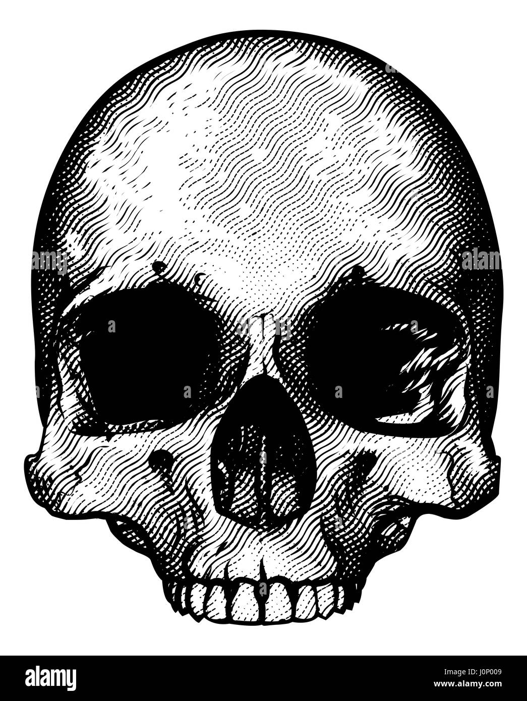 Skull in a vintage retro hand drawn woodcut etched or engraved style Stock Photo