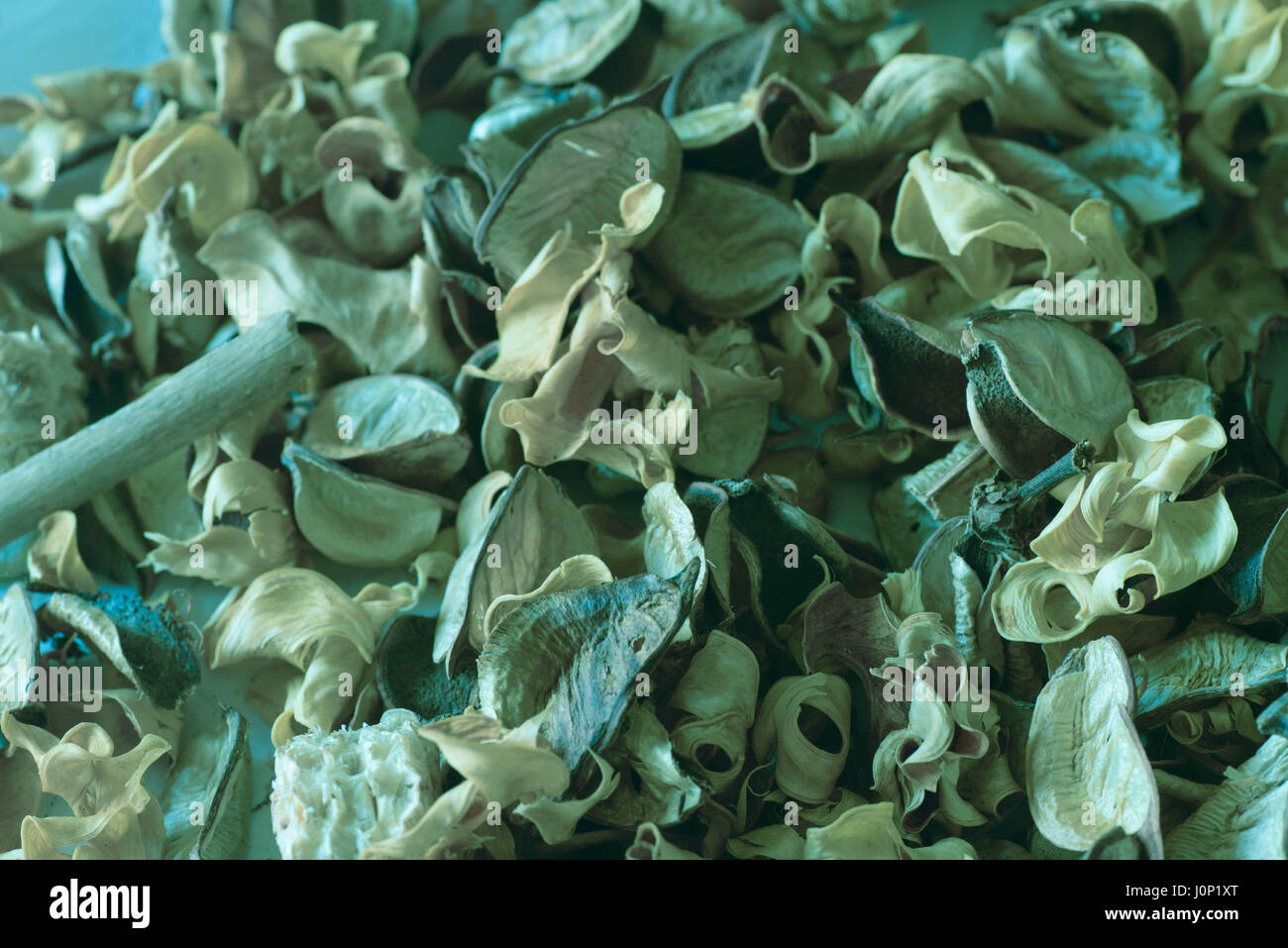 blue potpourri dried scented plants and flowers Stock Photo Alamy