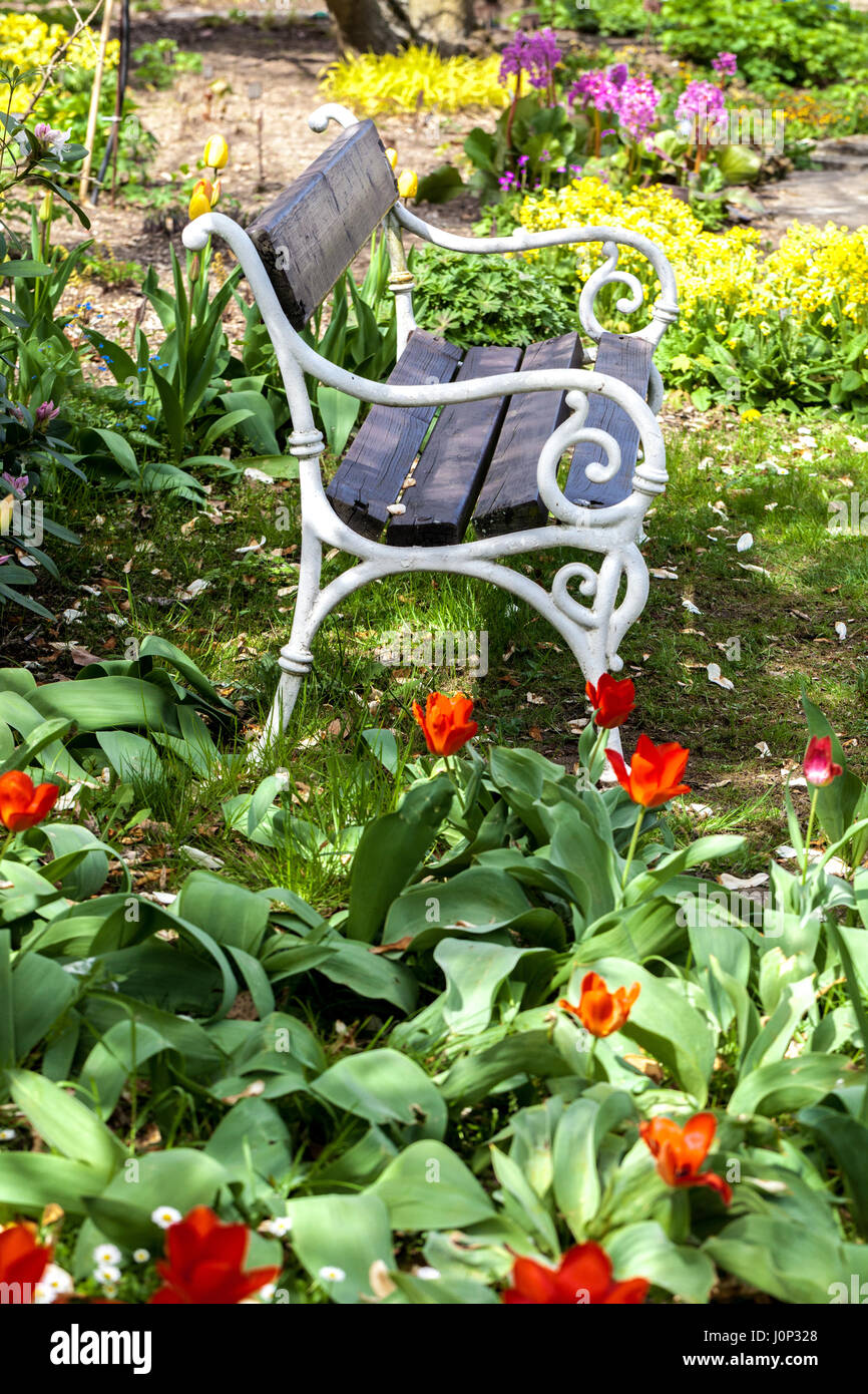 Flowering Tulips garden, Bench in blooming garden lawn under the tree Stock Photo