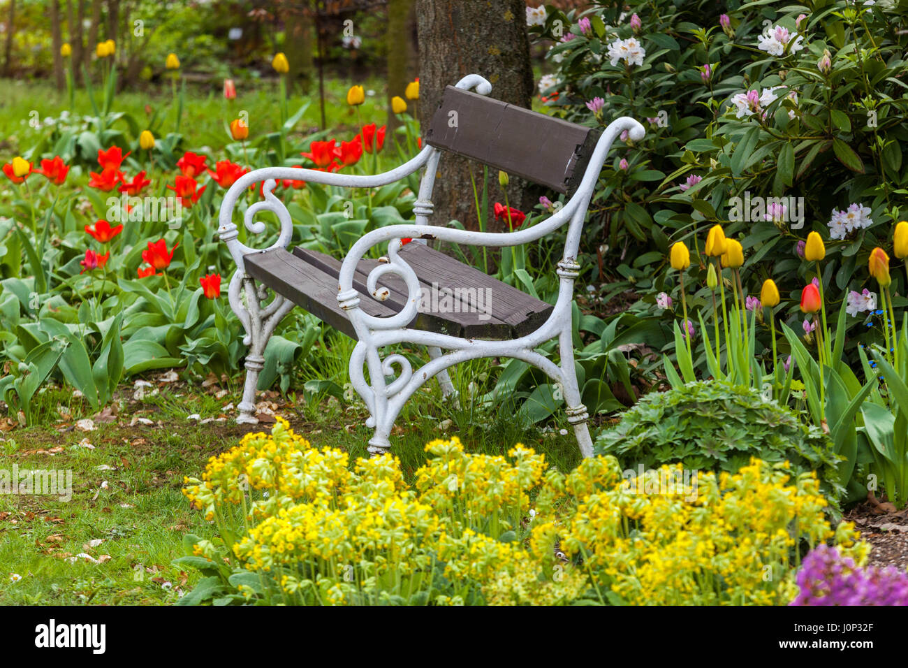Flowers garden bench hi-res stock photography and images - Alamy