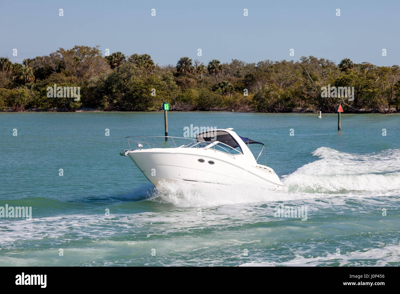 Motorbaot in the Gulf of Mexico. Mangrove forest in the background. Naples, Florida, United States Stock Photo