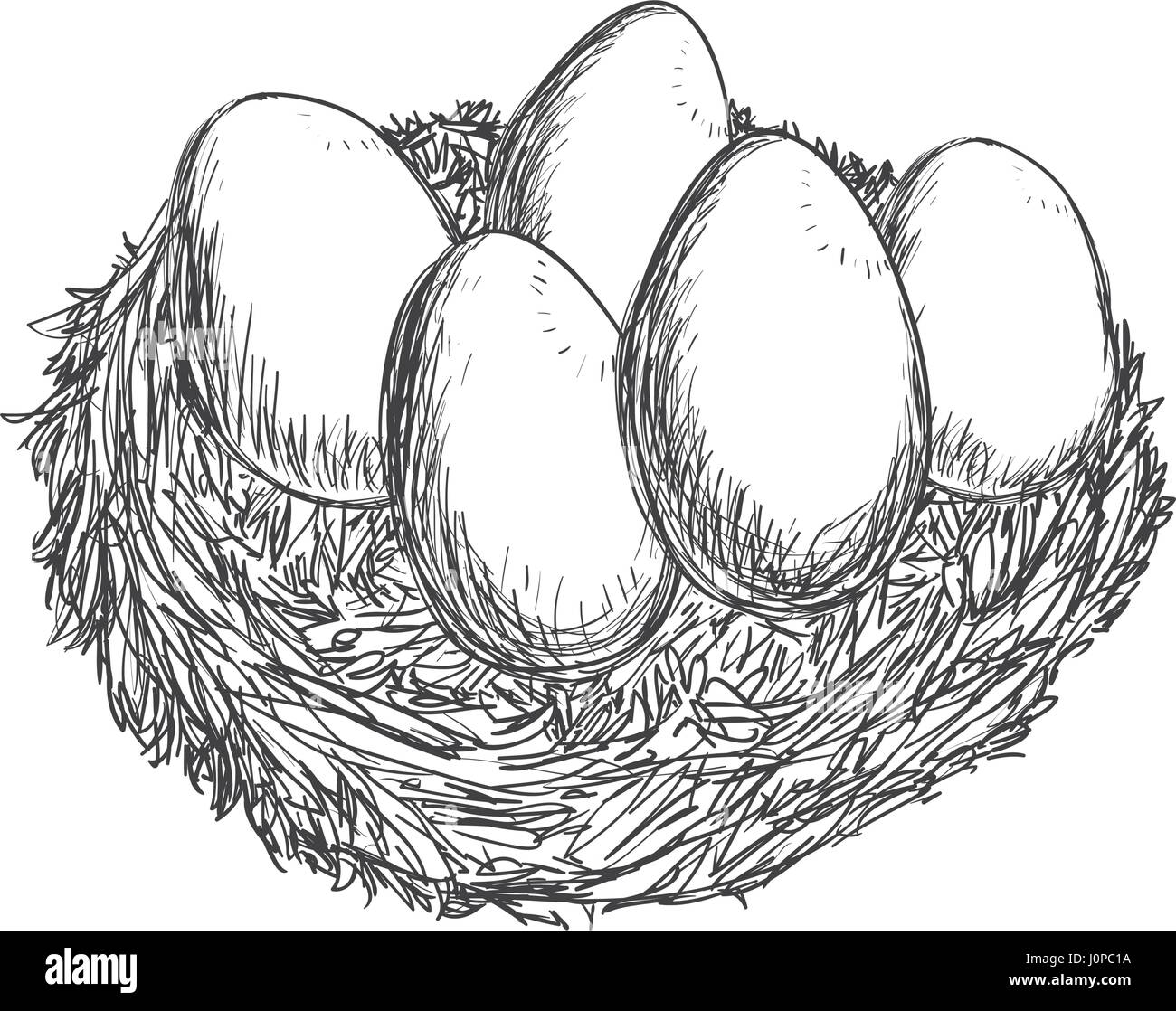 Fresh eggs hand draw Stock Vector Image & Art - Alamy