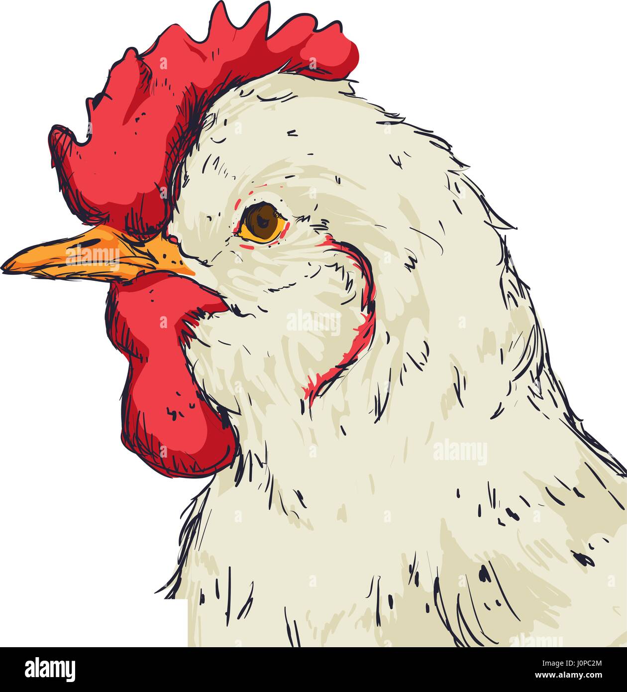 Farm chicken hand draw Stock Vector Image & Art Alamy