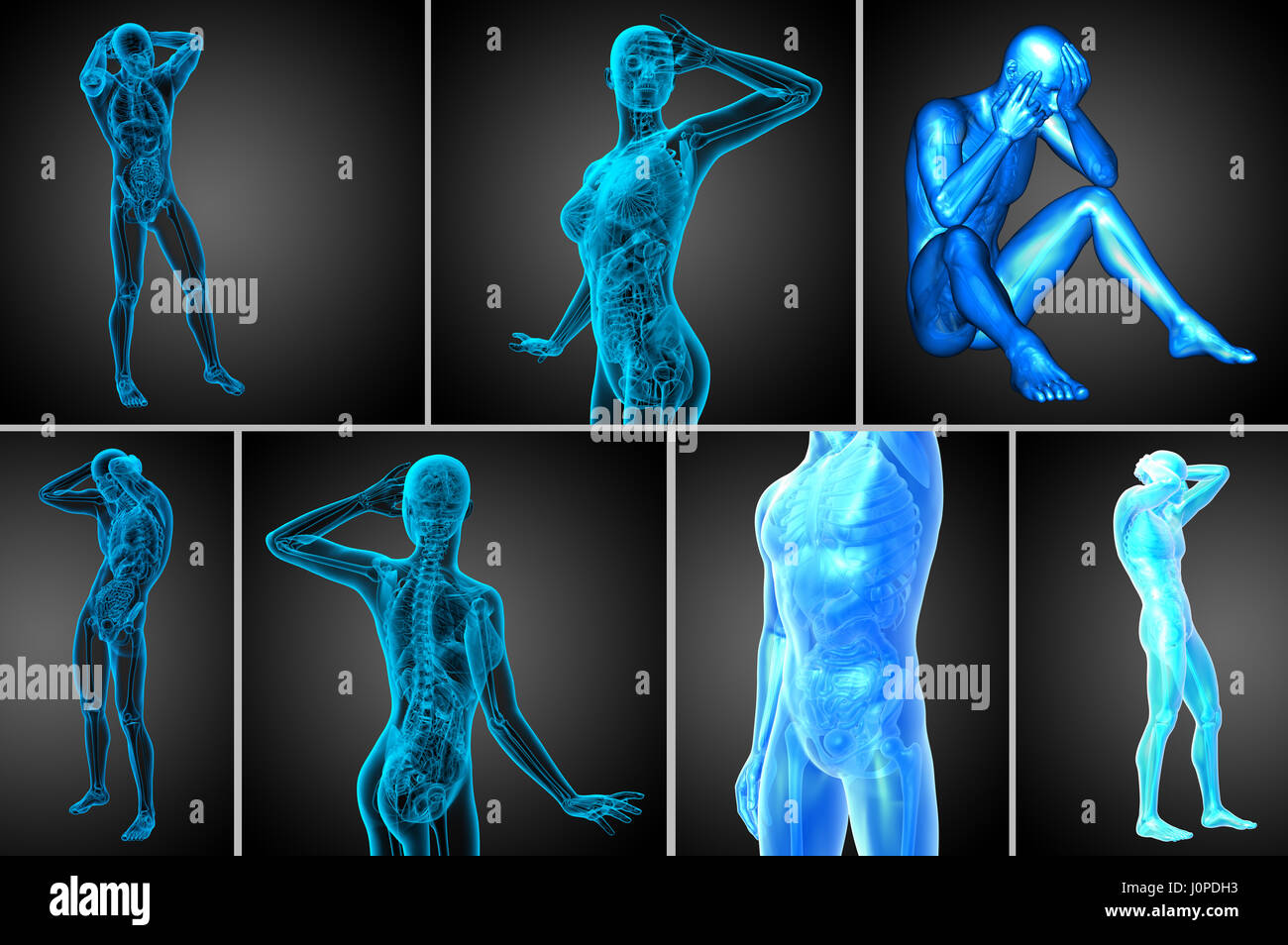 3d rendering medical illustration of the human anatomy Stock Photo - Alamy