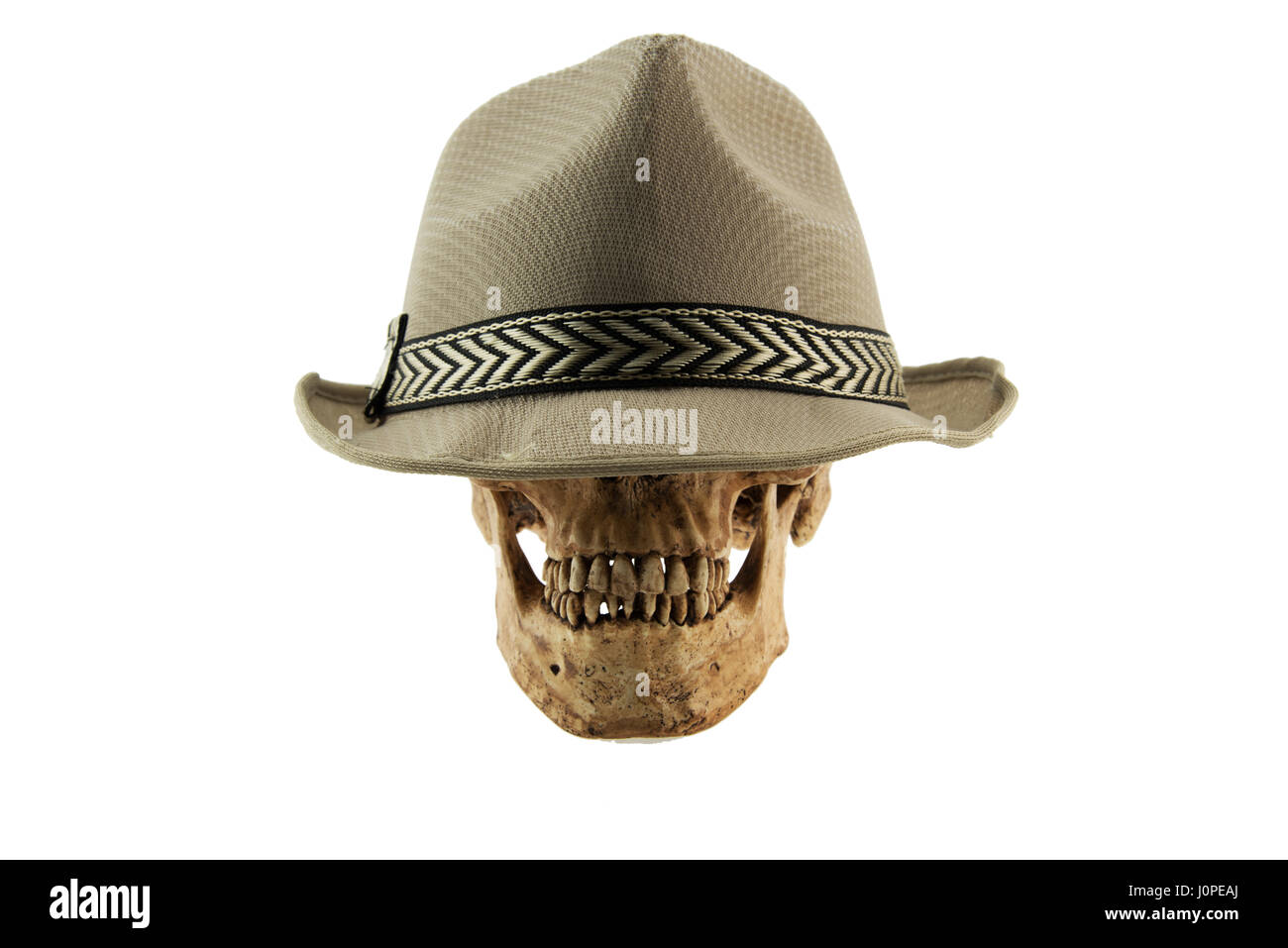 Skull cap brain High Resolution Stock 