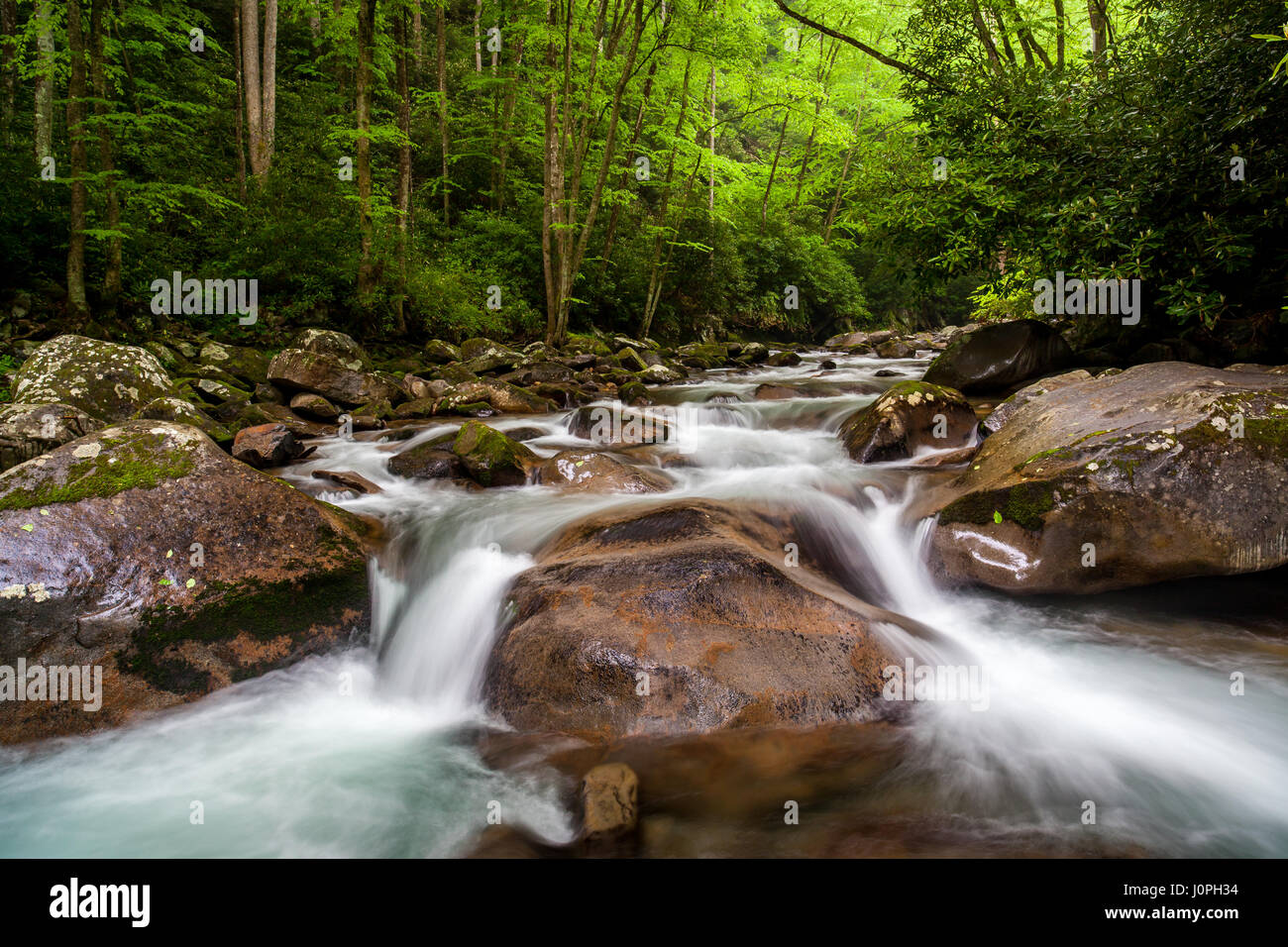 This is an image looking upstream on Big Creek near Mouse Creek Falls.  Big Creek flows generally eastward through the northwestern part of the Great Smoky Mountain National Park, with its headwaters near Inadu Knob. Stock Photo