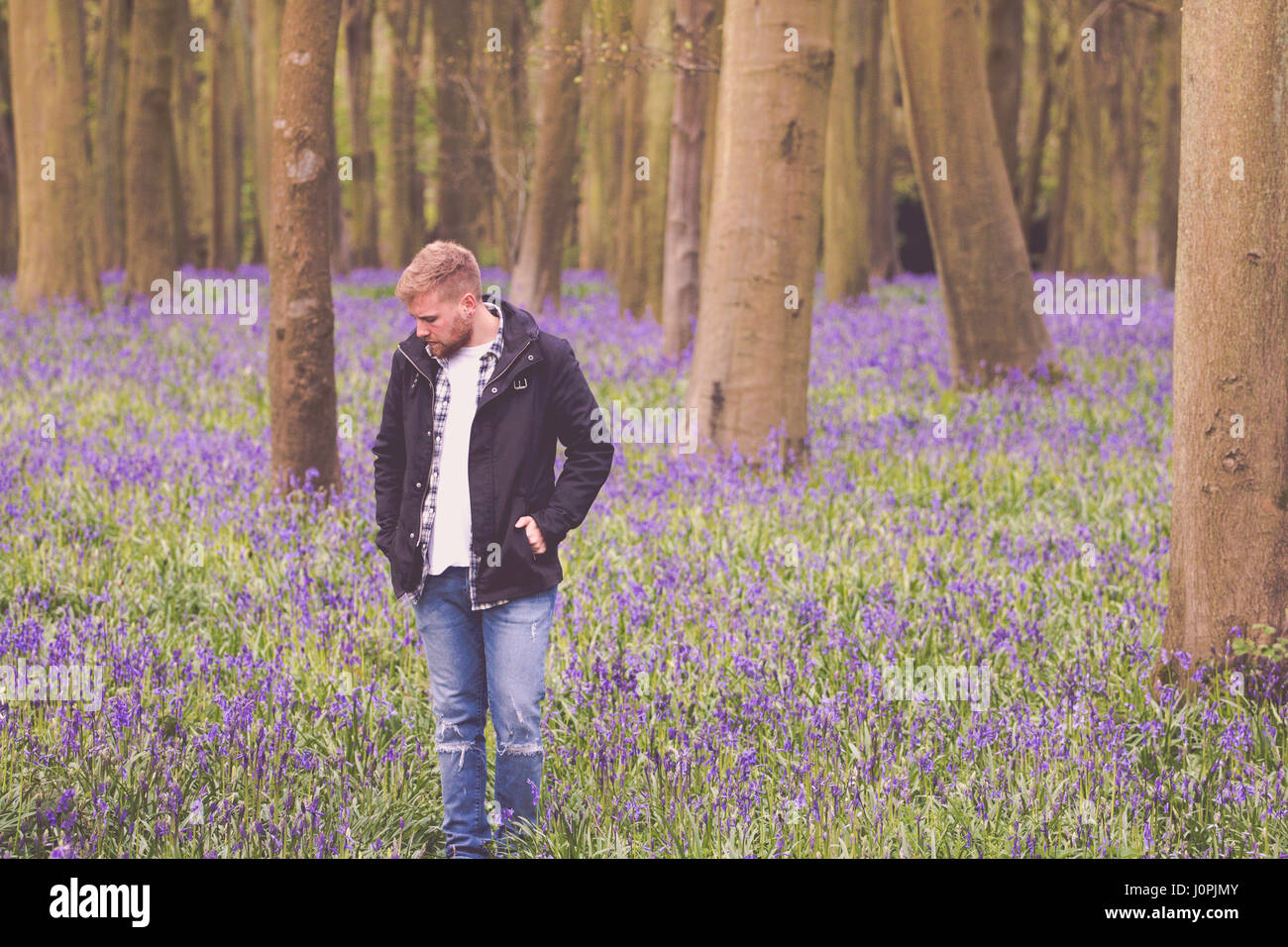 Blonde Man in a Bluebell Wood, Wiltshire Stock Photo