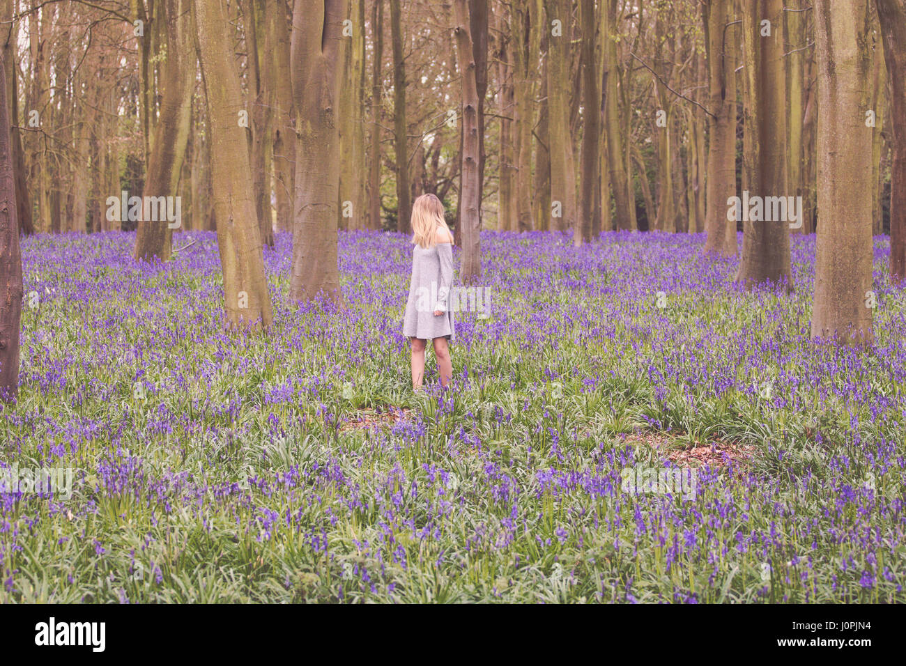 Blonde Woman in a Bluebell Wood, Wiltshire Stock Photo