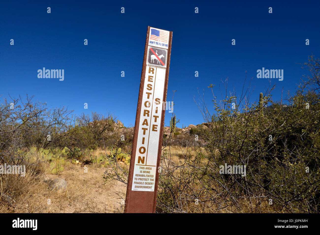 A sign indicates that an area is restricted for restoration in the foothills of the Santa Catalina Mountains, Sonoran Desert Coronado National Forest, Stock Photo