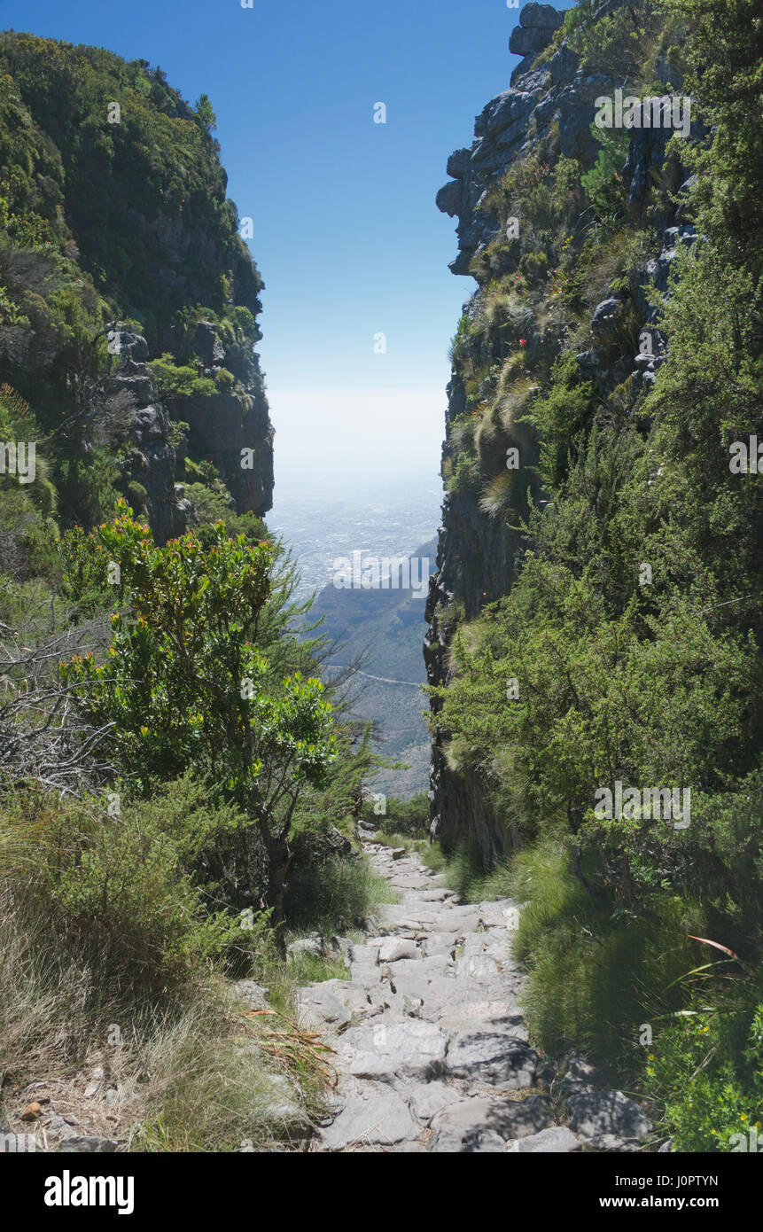 Trekking path to Table Mountain Cape Town South Africa Stock Photo