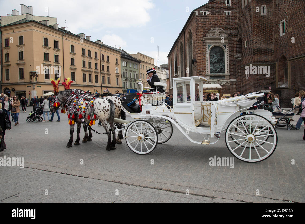 Horse and carriage tours in the main square in Krakow old town Stock Photo