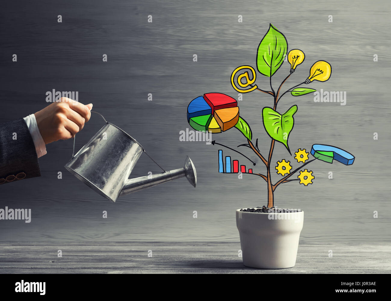 Personal Income Tree Drawn income tree in white pot for business investment savings and ...