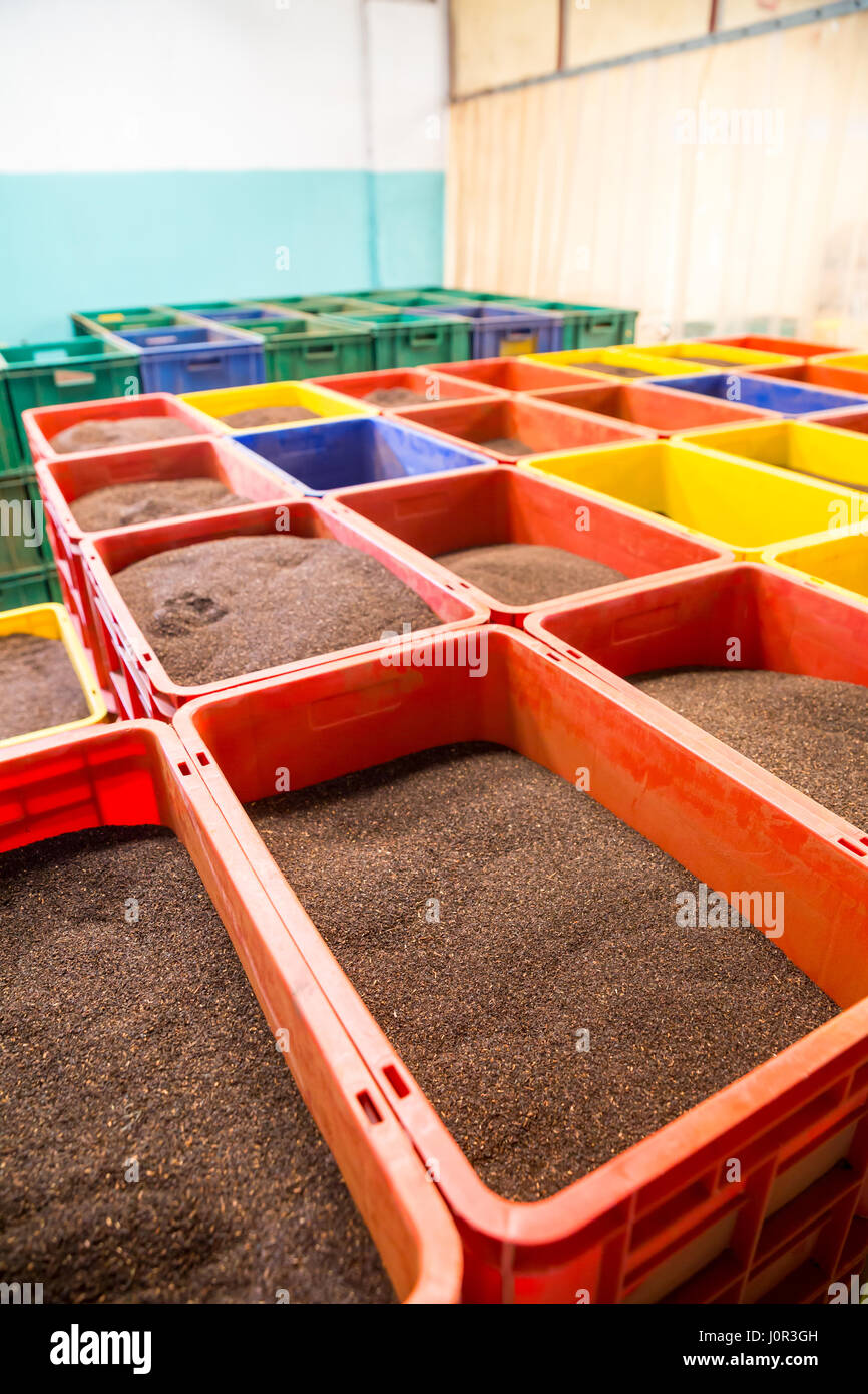Collection of Ceylon teas in boxes, closeup view. Plants of Sri Lanka