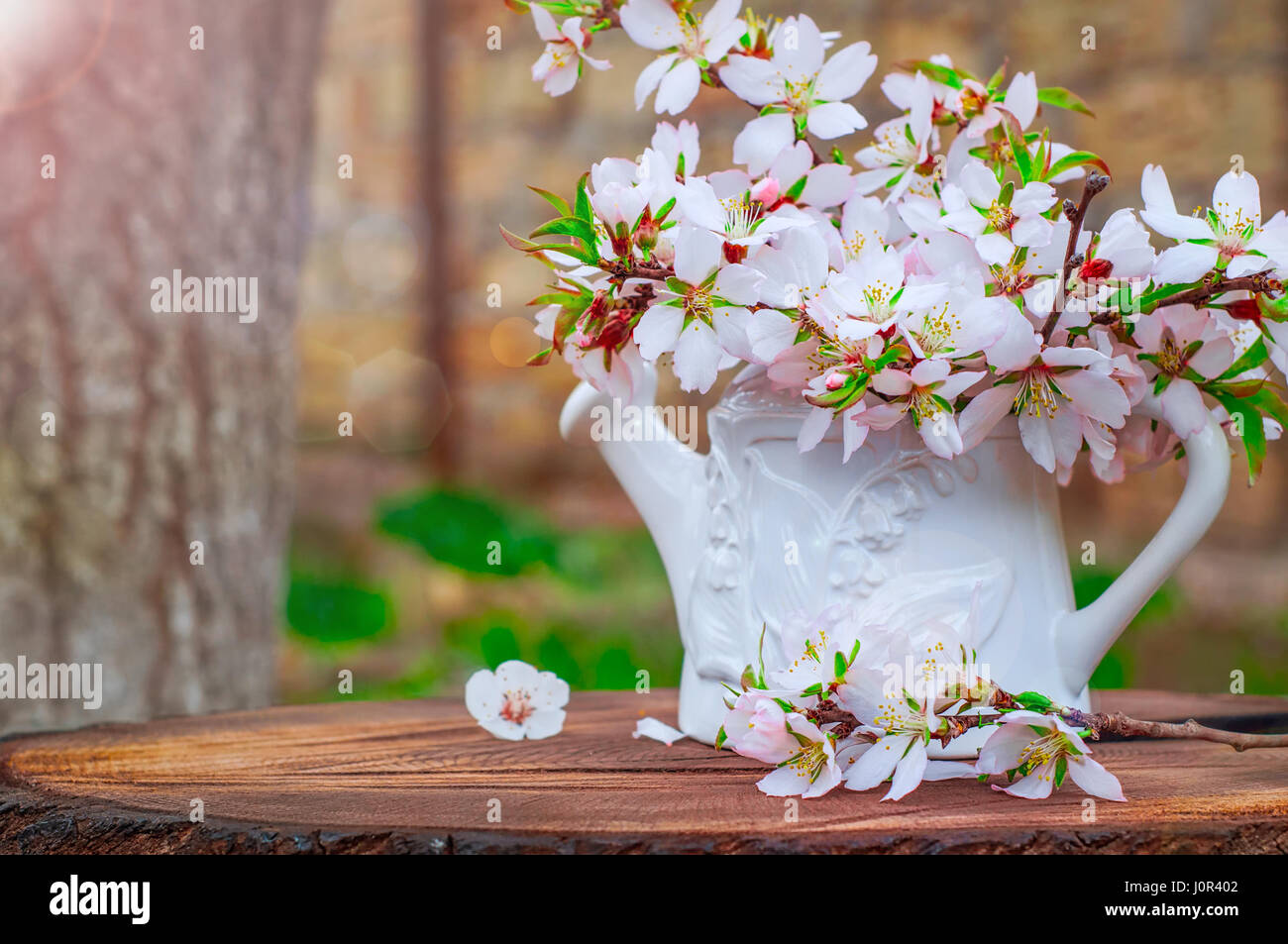White vase with a bouquet of branches of flowering almonds, close up Stock Photo
